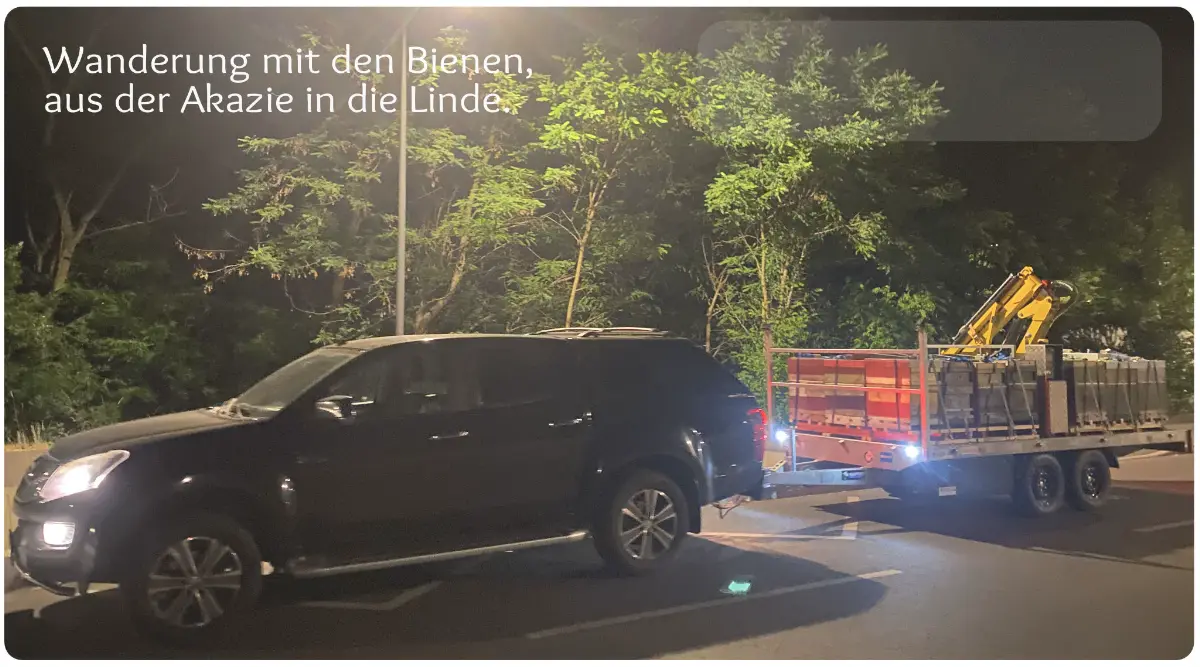 Wanderung in der Nacht